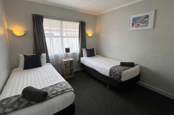 Superior 1-Bedroom Units single beds